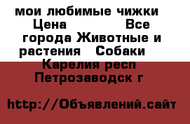 мои любимые чижки › Цена ­ 15 000 - Все города Животные и растения » Собаки   . Карелия респ.,Петрозаводск г.